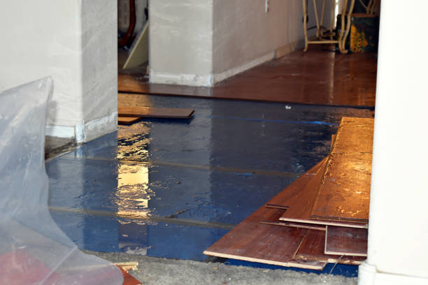 Professional Water Damage Restoration technician working in Harmony, MN